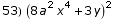 53)  (8 a^2 x^4 + 3 y)^2