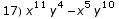 17) x^11 y^4 - x^5 y^10